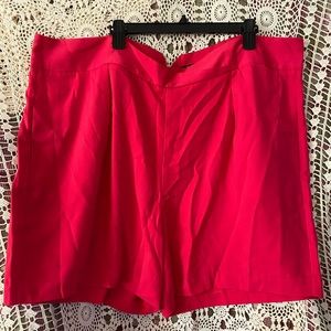 NWOT Du Jour High-Waisted Shorts with Seaming Detail